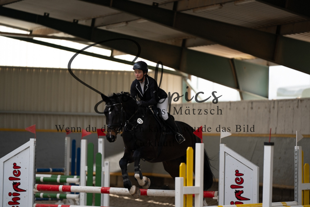 A7V08218 | Pferdefotograf