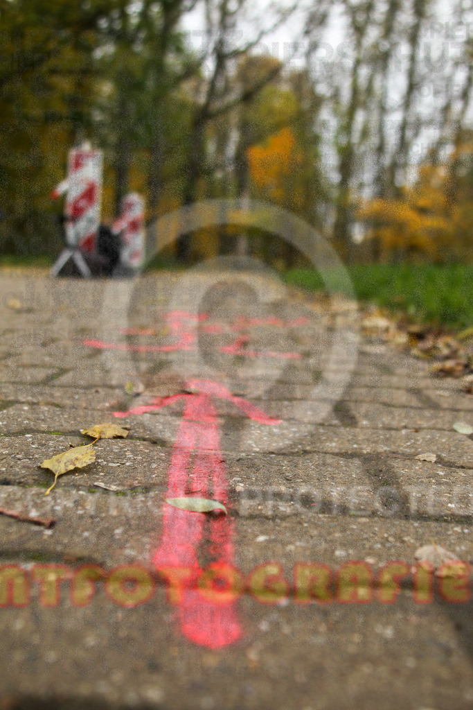 221127_1030_EV4_1696 | Sportfotografie im Rhein-Sieg Kreis, Köln, Bonn, NRW, Rheinland Pfalz, Hessen, etc. Unser Tätigkeitsfeld umfasst den Laufsport vom Volkslauf über den Marathon, Duathlon, Triathon bis zum Ultralauf wie Kölnpfad Ultra oder Schindertrail.