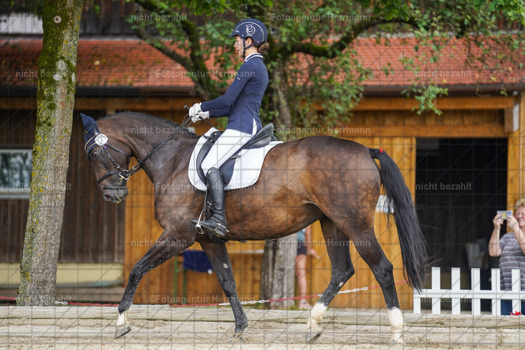 20230826-FAH05311 | Forstinning, 2023, Dressurturnier, Turniersportbilder, Turnierfotografen Bayern, Fotoagentur Herrmann, Reitsportfotografie, Turnierbilder