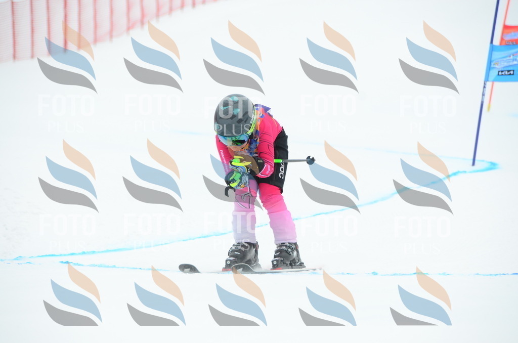 DSC_0660 | holidayphoto