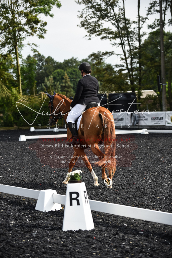 DSC_3055 | Pferde- und Turnierfotografie in Westsachsen. Pferdeportraits, Auftragszeichnungen und intuitive Kunst.