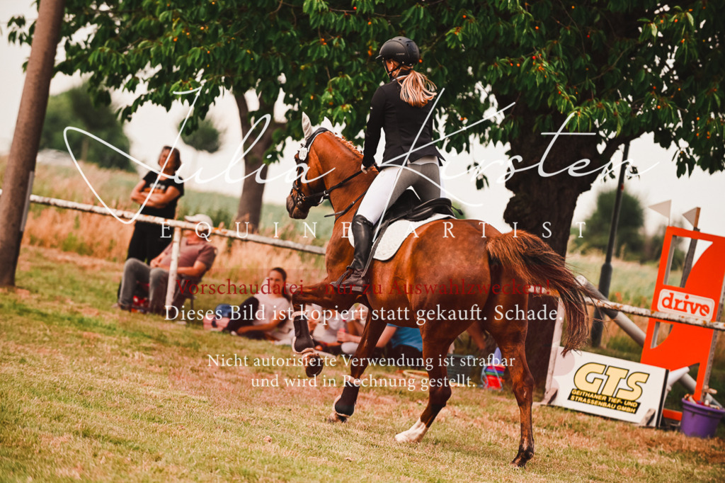 DSC_6863 | Pferde- und Turnierfotografie in Westsachsen. Pferdeportraits, Auftragszeichnungen und intuitive Kunst.