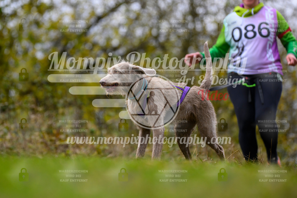 MompixPhotography_2OATB_SO_Run-69 | PayLife
