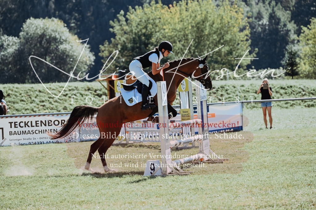 DSC_6157 | Pferde- und Turnierfotografie in Westsachsen. Pferdeportraits, Auftragszeichnungen und intuitive Kunst.