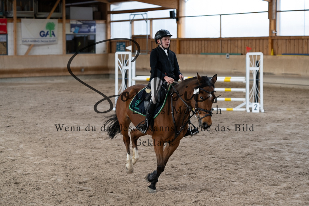 A7V00934 | Pferdefotograf