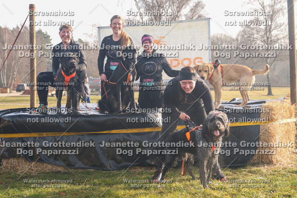 Dog Paparazzi - SD North 0326 900930-169 | Dog Paparazzi Jeanette Grottendiek Fotografie & Videografie - Realisiert mit Pictrs.com