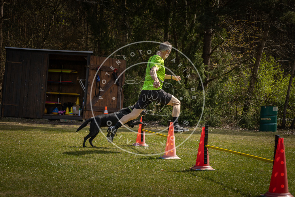 Pfotenfotografie_DV3A3187 | Hundefotografie, Tierfotograf, Pfotenfotografie, Fotoshooting Hund, Hunde Portrait, Hundesport, Hundeportraits, Heideshooting, Hunde, Sportfotograf, Hundefotograf, Turnierhundsport, THS,  - Realisiert mit Pictrs.com