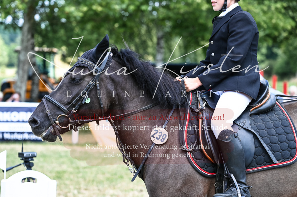 DSC_9759 | Pferde- und Turnierfotografie in Westsachsen. Pferdeportraits, Auftragszeichnungen und intuitive Kunst.