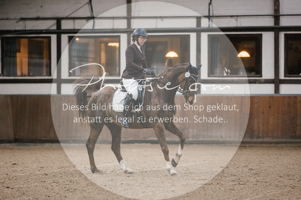 3I6A5904 | Stimmungsvolle Portraits und Reitsportfotografie im Ruhrgebiet und im Münsterland.

Pferdefotografie, Hundefotografie, Tierfotografie, Reportagen, Portraits von Tier und Mensch, Turnierfotografie in Bochum, Recklinghausen, Marl, Haltern am See, Dülmen.. - Realisiert mit Pictrs.com