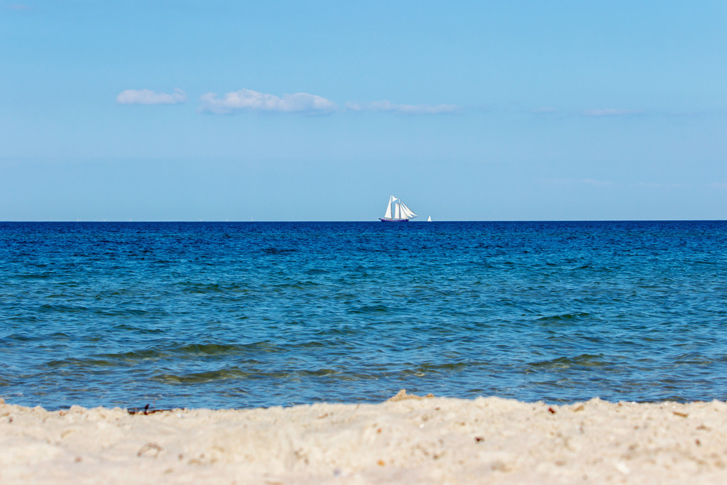 Wandbild: Traditionssegler vor Kronsgaard | Dieses Wandbild im Querformat zeigt den Strand in Kronsgaard. In der Ferne kann man einen Traditionssegler sehen. Am blauen Himmel befinden sich nur wenige Wolken.  - Realisiert mit Pictrs.com