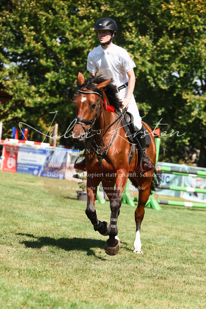 DSC_2963 | Pferde- und Turnierfotografie in Westsachsen. Pferdeportraits, Auftragszeichnungen und intuitive Kunst.