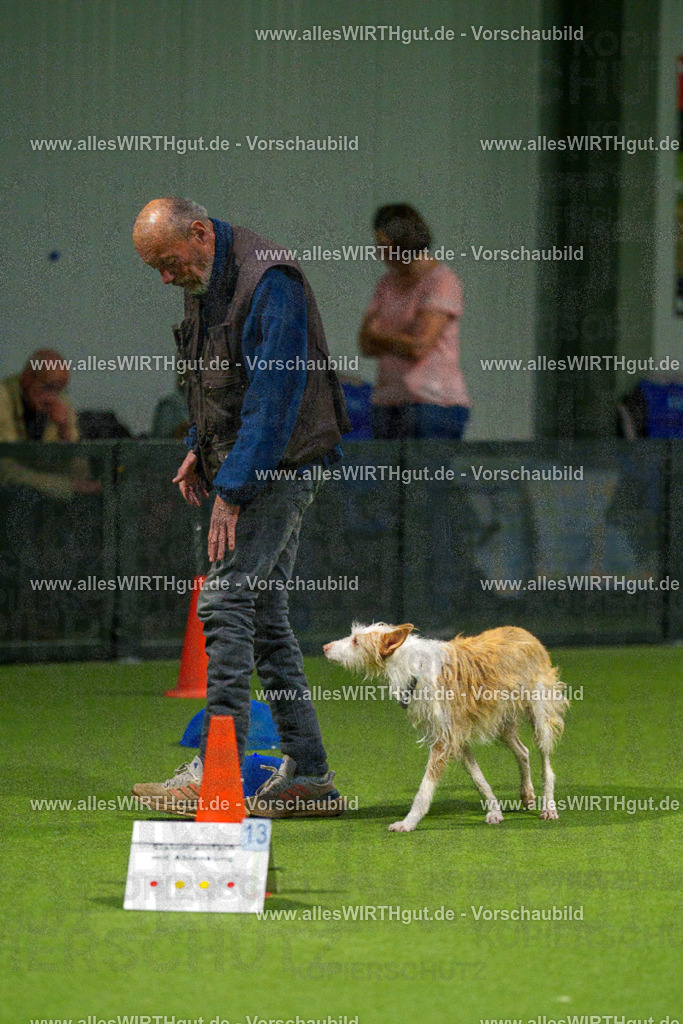 7R509018 | Professionelle Tierfotografie in Mönchengladbach von Daniel Wirth (allesWIRTHgut). Liebevolle & natürliche Bilder von Hunden & Katzen für unvergessliche Erinnerungen.