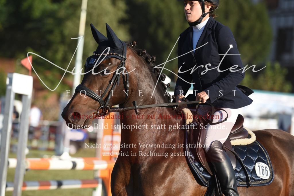 DSC_4910 | Pferde- und Turnierfotografie in Westsachsen. Pferdeportraits, Auftragszeichnungen und intuitive Kunst.