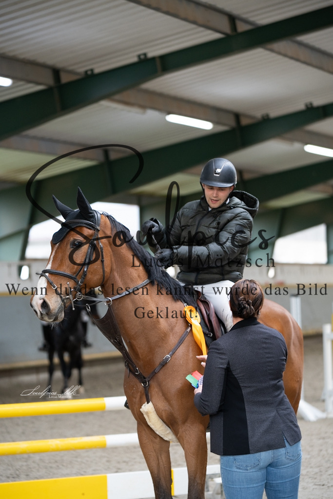 A7V01333 | Pferdefotograf