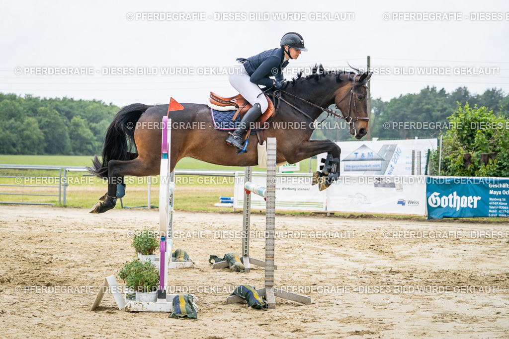 DSC02216 | Pferdegrafie