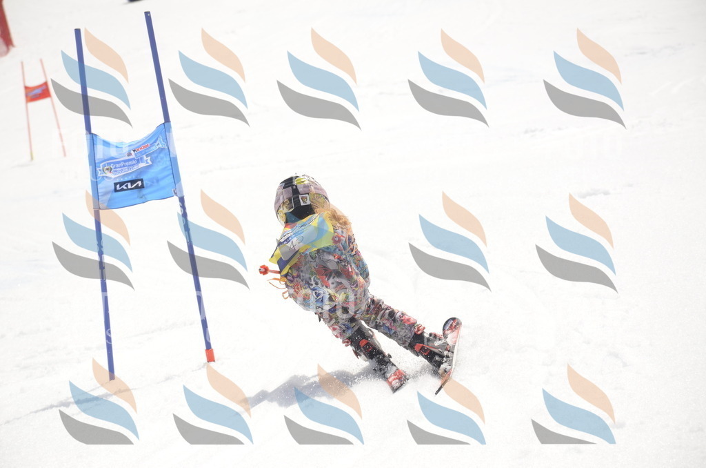 _ELE8740 | holidayphoto