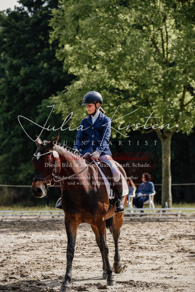 DSC_9200 | Pferde- und Turnierfotografie in Westsachsen. Pferdeportraits, Auftragszeichnungen und intuitive Kunst.