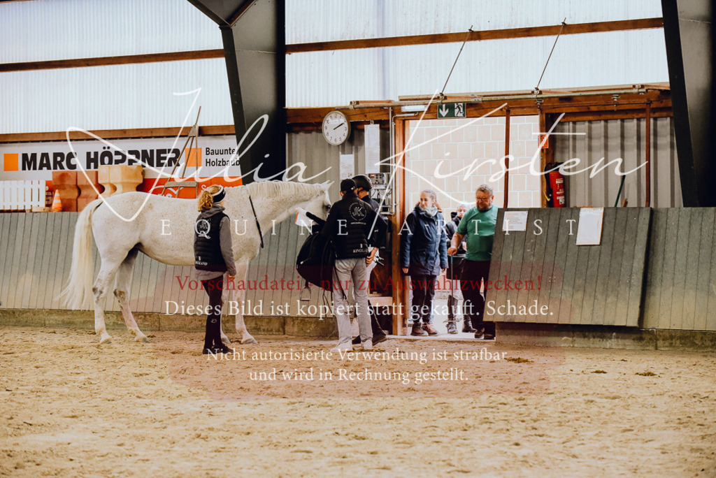 DSC_7006 | Pferde- und Turnierfotografie in Westsachsen. Pferdeportraits, Auftragszeichnungen und intuitive Kunst.