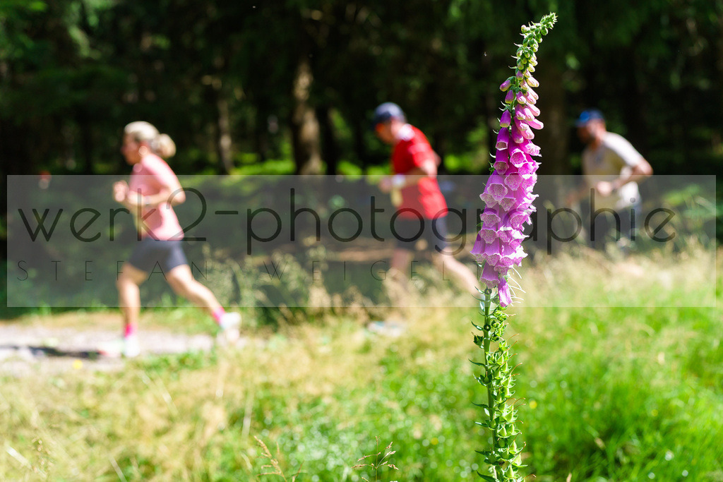 Schneekopflauf 2025 | Schmiedefeld am 5. Juli 2025