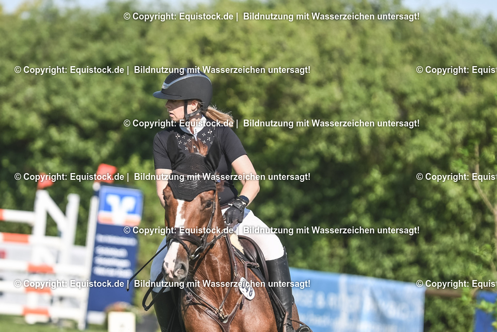 20230908_24_Springen_M_0074 | equistock