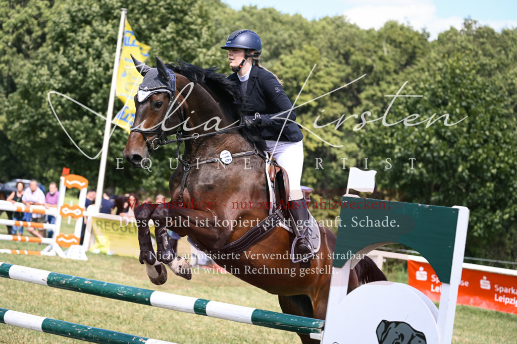 DSC_0535 | Pferde- und Turnierfotografie in Westsachsen. Pferdeportraits, Auftragszeichnungen und intuitive Kunst.