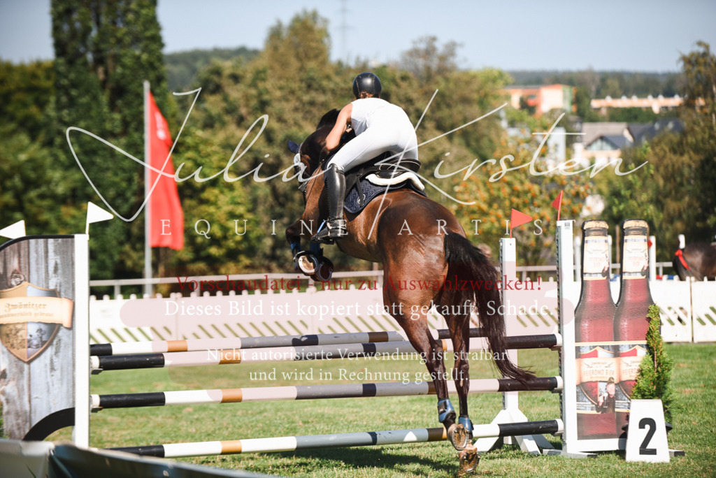 DSC_2860 | Pferde- und Turnierfotografie in Westsachsen. Pferdeportraits, Auftragszeichnungen und intuitive Kunst.