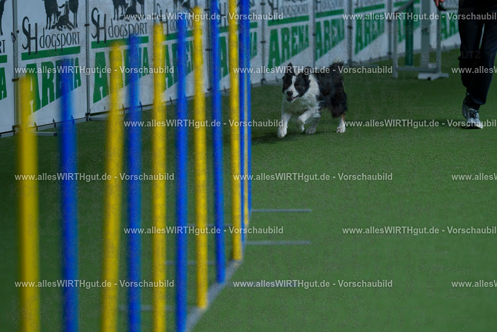 @allesWIRTHgut_Tierfotografie - www.allesWIRTHgut.de - 2604261015-7R508817 | Professionelle Tierfotografie in Mönchengladbach von Daniel Wirth (allesWIRTHgut). Liebevolle & natürliche Bilder von Hunden & Katzen für unvergessliche Erinnerungen.