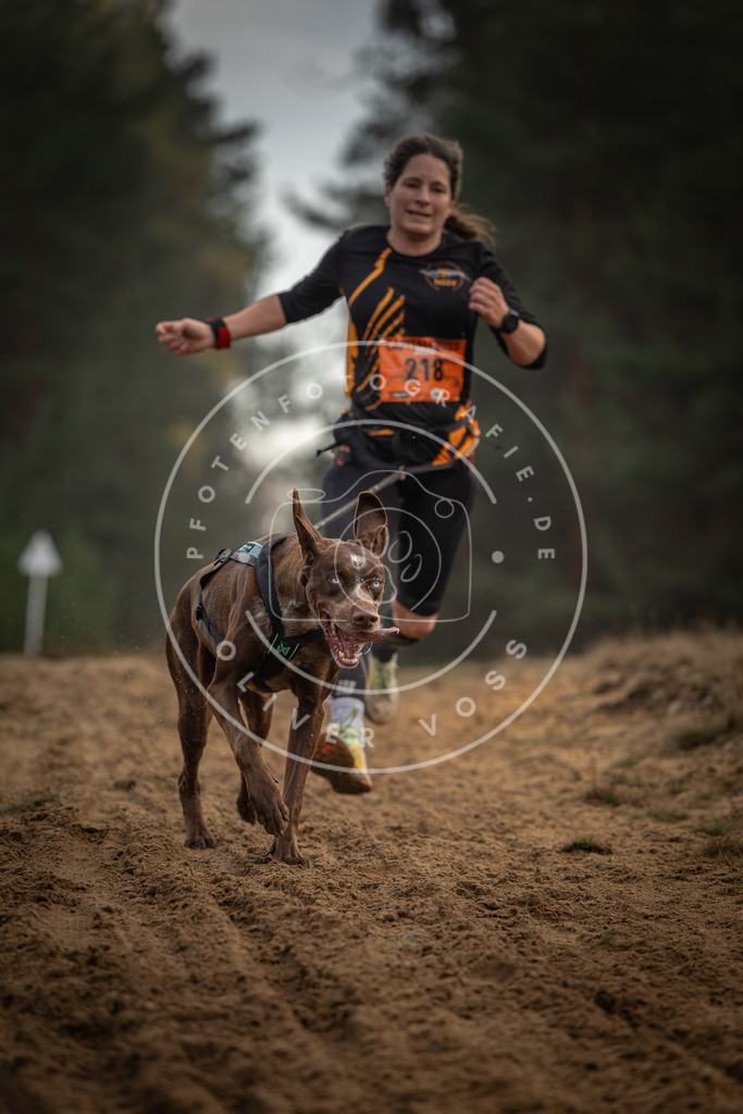 Pfotenfotografie_DV3A5329 | Hundefotografie, Tierfotograf, Pfotenfotografie, Fotoshooting Hund, Hunde Portrait, Hundesport, Hundeportraits, Heideshooting, Hunde, Sportfotograf, Hundefotograf, Turnierhundsport, THS,  - Realisiert mit Pictrs.com