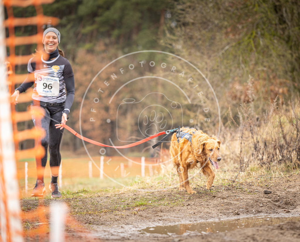 DV3A0555 | Hundefotografie, Tierfotograf, Pfotenfotografie, Fotoshooting Hund, Hunde Portrait, Hundesport, Hundeportraits, Heideshooting, Hunde, Sportfotograf, Hundefotograf, Turnierhundsport, THS,  - Realisiert mit Pictrs.com