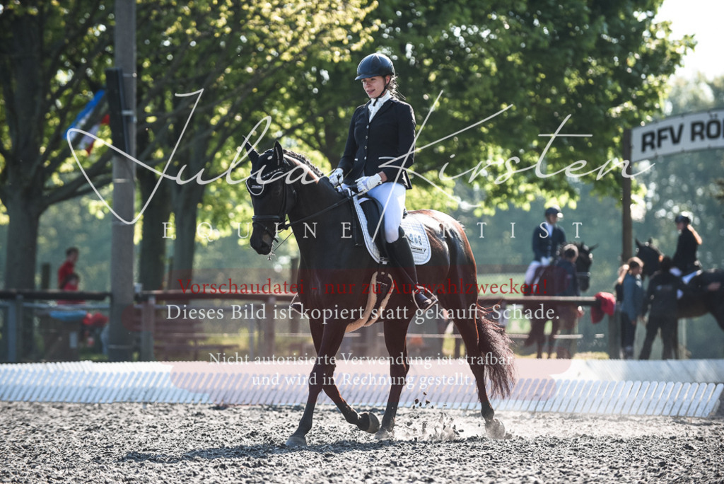 DSC_8362 | Pferde- und Turnierfotografie in Westsachsen. Pferdeportraits, Auftragszeichnungen und intuitive Kunst.