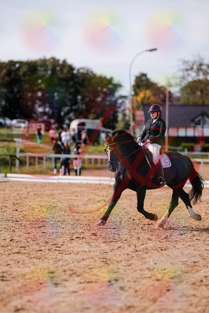 2026_10_03_Siefer-Hof_131709_Z81_65648705 | Professionelle Reitsport-, Turnier- und Eventfotografie von Robert Broda. Galerien mit ausgewählten und bearbeiteten Bildern direkt online ansehen und bestellen.