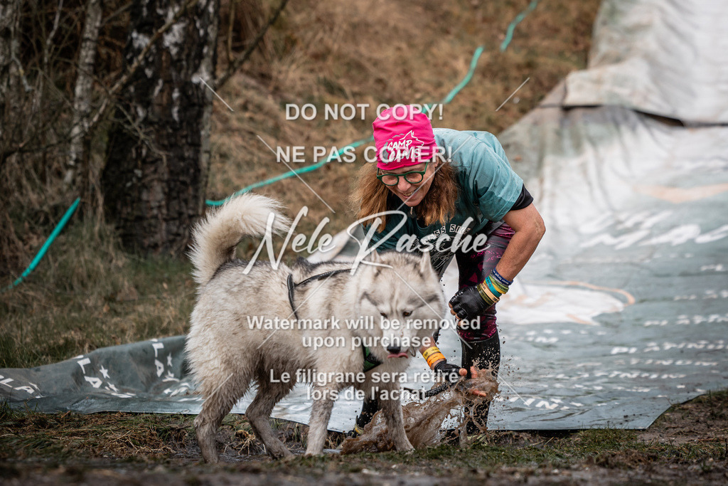 nelerasche_1330-1400_52 | nelerasche