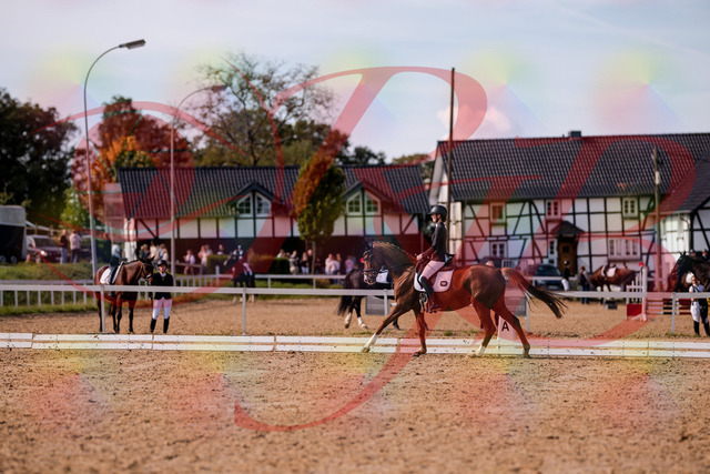 2026_10_03_Siefer-Hof_133117_Z81_84610602 | Professionelle Reitsport-, Turnier- und Eventfotografie von Robert Broda. Galerien mit ausgewählten und bearbeiteten Bildern direkt online ansehen und bestellen.