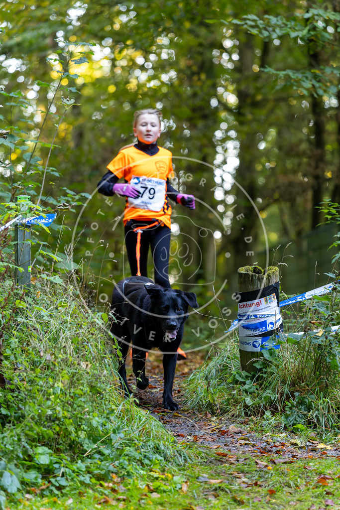 Pfotenfotografie_DV3A7493 | Hundefotografie, Tierfotograf, Pfotenfotografie, Fotoshooting Hund, Hunde Portrait, Hundesport, Hundeportraits, Heideshooting, Hunde, Sportfotograf, Hundefotograf, Turnierhundsport, THS,  - Realisiert mit Pictrs.com