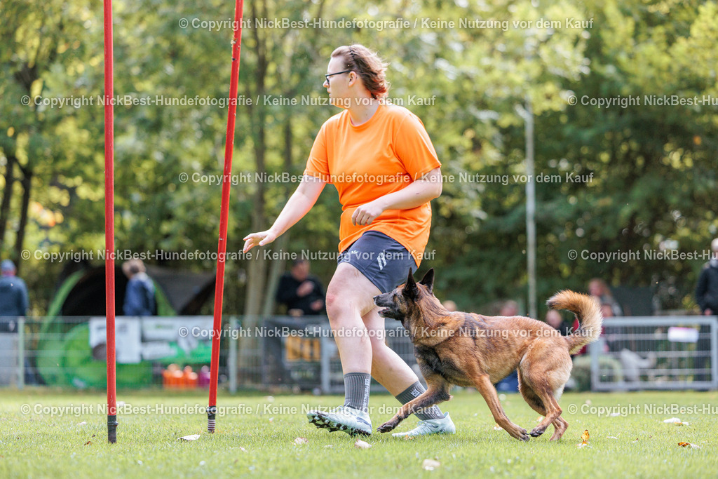 THS-HSV-Blumenthal-2026-Nickbest-Hundefotografie-2737 | Dein Hund! Dein Moment! Deine Erinnerungen! Hundefotografie in Bremen Blumenthal. Ich fange die besonderen Momente deines Vierbeiners ein – ob Indoor mit Blitzanlage oder in der freien Natur. Sicher dir dein Moment und dein Termin für eure Erinnerungen.