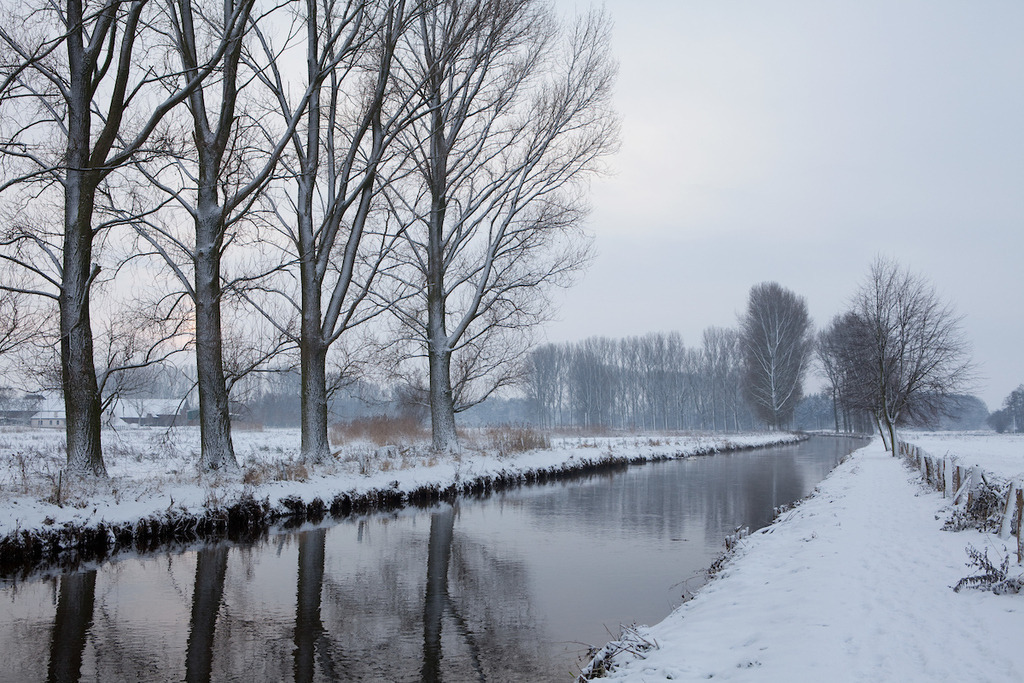 101219-016 | Europa, DEU, Deutschland, Nordrhein Westfalen, NRW, Rheinland, Niederrhein, Wachtendonk, Fluss, Die Niers, Flusslandschaft, Winter, Schnee, Baeume, Pappeln, Pappelbaeume, Kategorien und Themen, Natur, Umwelt, Landschaft, Jahreszeiten, Stimmungen, Landschaftsfotografie, Landschaften, Landschaftsphoto, Landschaftsphotographie, Wetter, Wetterelemente, Wetterlage, Wetterkunde, Witterung, Witterungsbedingungen, Wettererscheinungen, Meteorologie, Wettervorhersage....[Fuer die Nutzung gelten die jeweils gueltigen Allgemeinen Liefer-und Geschaeftsbedingungen. Nutzung nur gegen Verwendungsmeldung und Nachweis. Download der AGB unter http://www.image-box.com oder werden auf Anfrage zugesendet. Freigabe ist vorher erforderlich. Jede Nutzung des Fotos ist honorarpflichtig gemaess derzeit gueltiger MFM Liste - Kontakt, Uwe Schmid-Fotografie, Duisburg, Tel. (+49).2065.677997, ..archiv@image-box.com, www.image-box.com] - Realisiert mit Pictrs.com