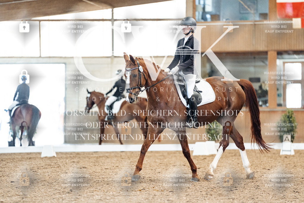 CK908621 | Turnierfotografie Pferdefotografie Trier Rheinland-Pfalz Pferdesport Reitsport Tierfotografie Sportfotografie Pferdevideo Pferdevideografie Equestrianvideography equestrianphotography  - Realisiert mit Pictrs.com