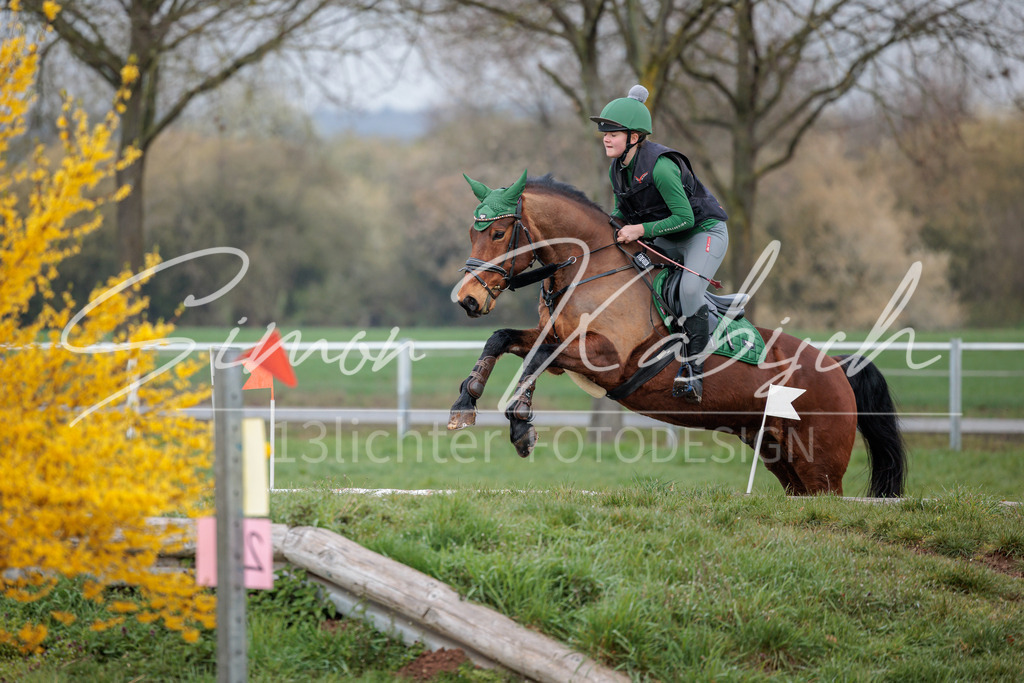 20260329-_3LI3807 | Tierfotografie Pferde, Hunde, Katzen, Haustiere.
Turnierfotografie Reitturniere, Reiten, Springreiten, Dressur in Hanau, dem Main-Kinzig-Kreis und dem Rhein-Main- Gebiet um Frankfurt