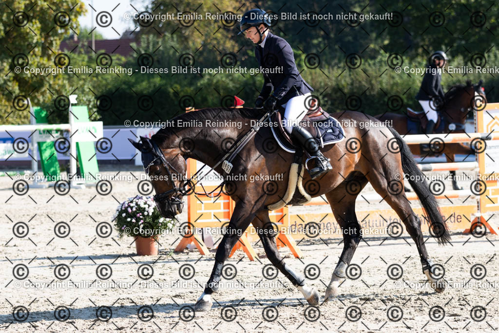 CL5A6117 | Emilia Reinking Fotografie - Realisiert mit Pictrs.com