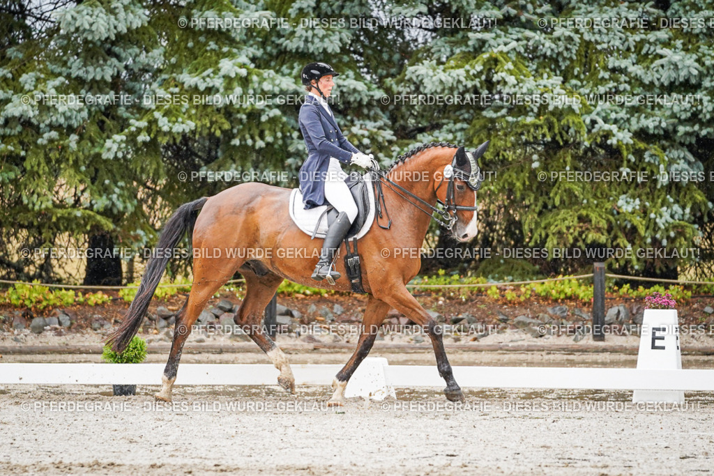 DSC08577 | Pferdegrafie