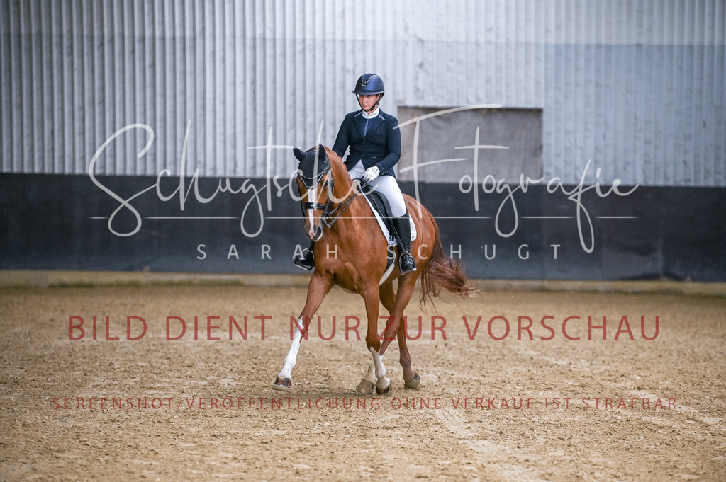 Schugtsche-Aluta25-56.Dressurprf.L1Kand.-131 | Schugtsche Fotografie - Realizzato con Pictrs.com