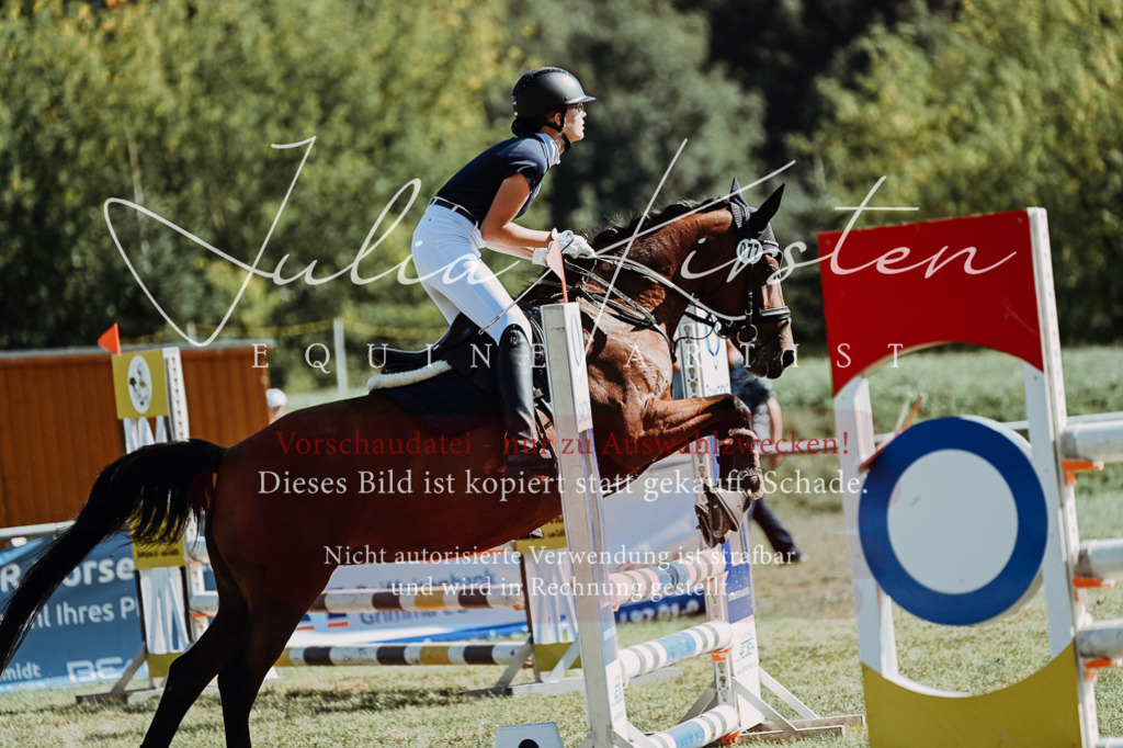 DSC_6950 | Pferde- und Turnierfotografie in Westsachsen. Pferdeportraits, Auftragszeichnungen und intuitive Kunst.