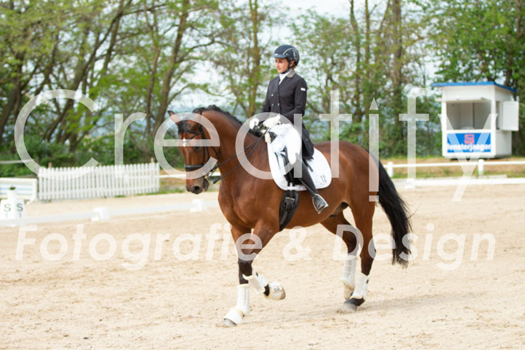 IMG_1263 | Creatify Fotografie