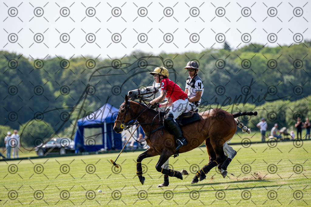 POL_2329 | andre_photographic