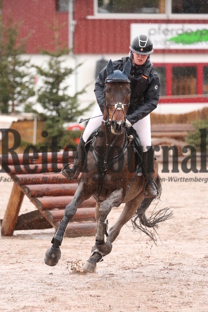 Altensteig_2023_Prfg.Nr.02_Stil-Geländeritt_Kl.A_Nadine Schrafft_Chippie Zett (9) | Alle Fotos der Reiterjournal Fotografin Doris Matthaes im Reiterjournal Online-Fotoshop. - Realisiert mit Pictrs.com