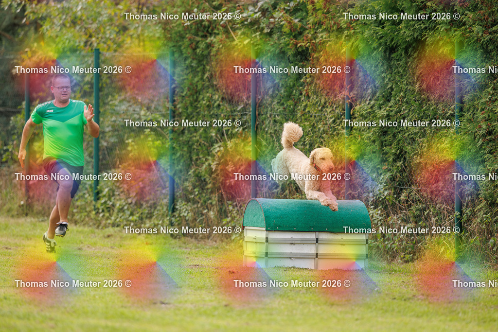 Thomas_Nico_Meuter(C)_27. September 2026_223A8491 | Bild von Thomas Nico Meuter - Realisiert mit Pictrs.com