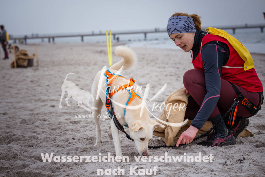 1209_ZZ92256 | kk-dogfotos