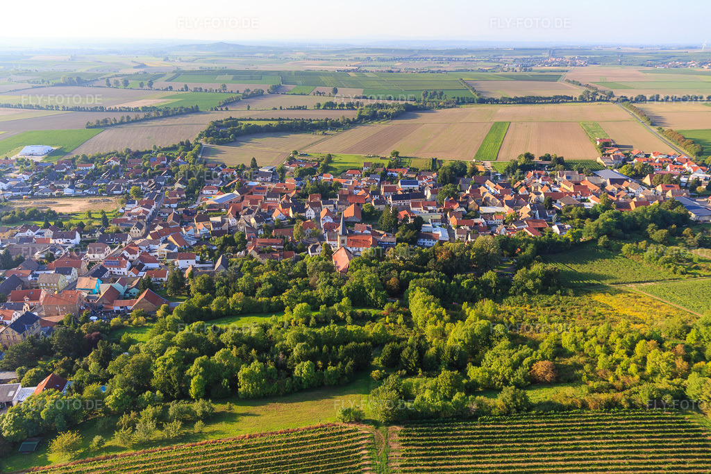 Luftbild: Ortsansicht von Süden im Ortsteil Heßloch in Dittelsheim-Heßloch im Bundesland Rheinland-Pfalz in Deutschland. Foto: IMG_103149.jpg vom 29.08.2017 durch Werner Riehm/FLY-FOTO.de