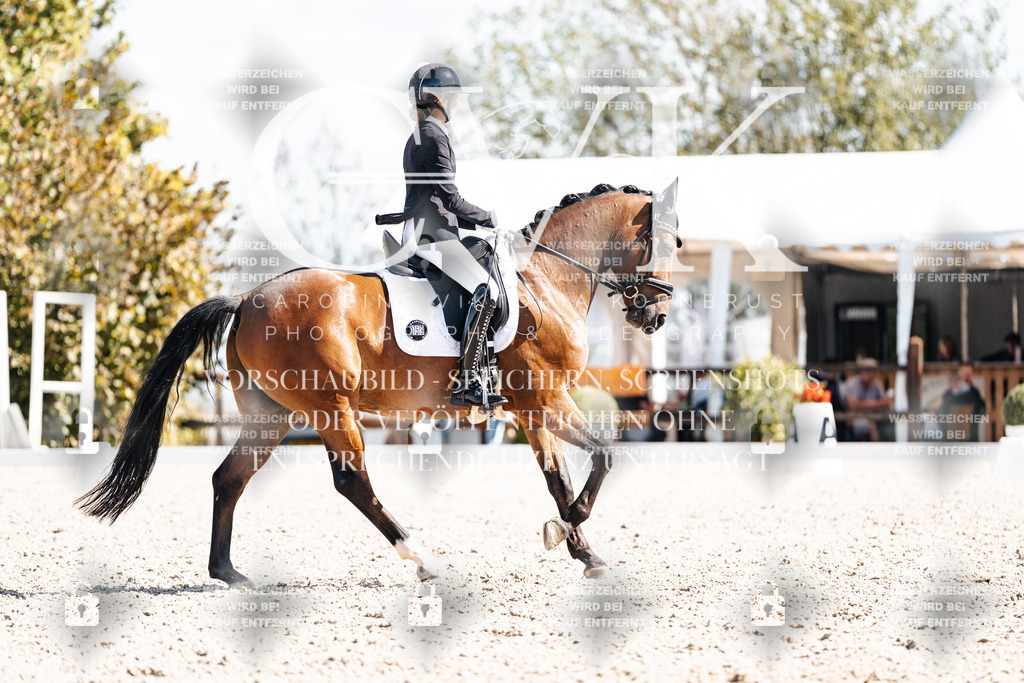 CK902729 | Turnierfotografie Pferdefotografie Trier Rheinland-Pfalz Pferdesport Reitsport Tierfotografie Sportfotografie Pferdevideo Pferdevideografie Equestrianvideography equestrianphotography  - Realisiert mit Pictrs.com