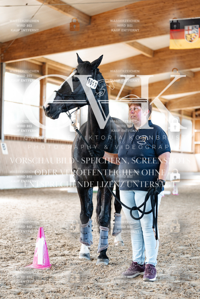 CK906290 | Turnierfotografie Pferdefotografie Trier Rheinland-Pfalz Pferdesport Reitsport Tierfotografie Sportfotografie Pferdevideo Pferdevideografie Equestrianvideography equestrianphotography  - Realisiert mit Pictrs.com